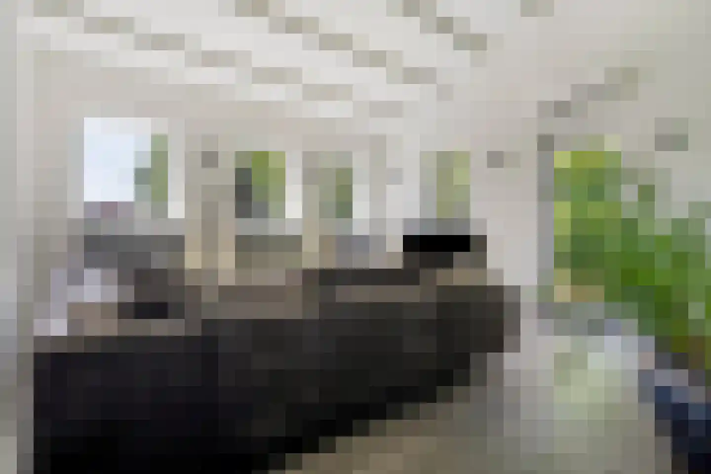 Garst 57 Winschoten thumbnail 33