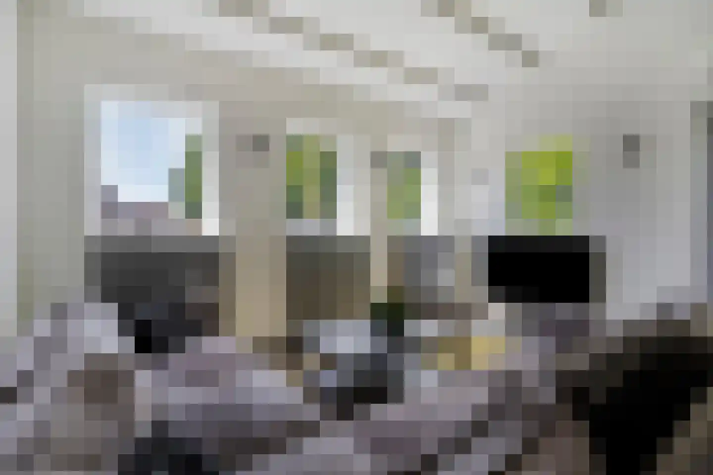 Garst 57 Winschoten thumbnail 34
