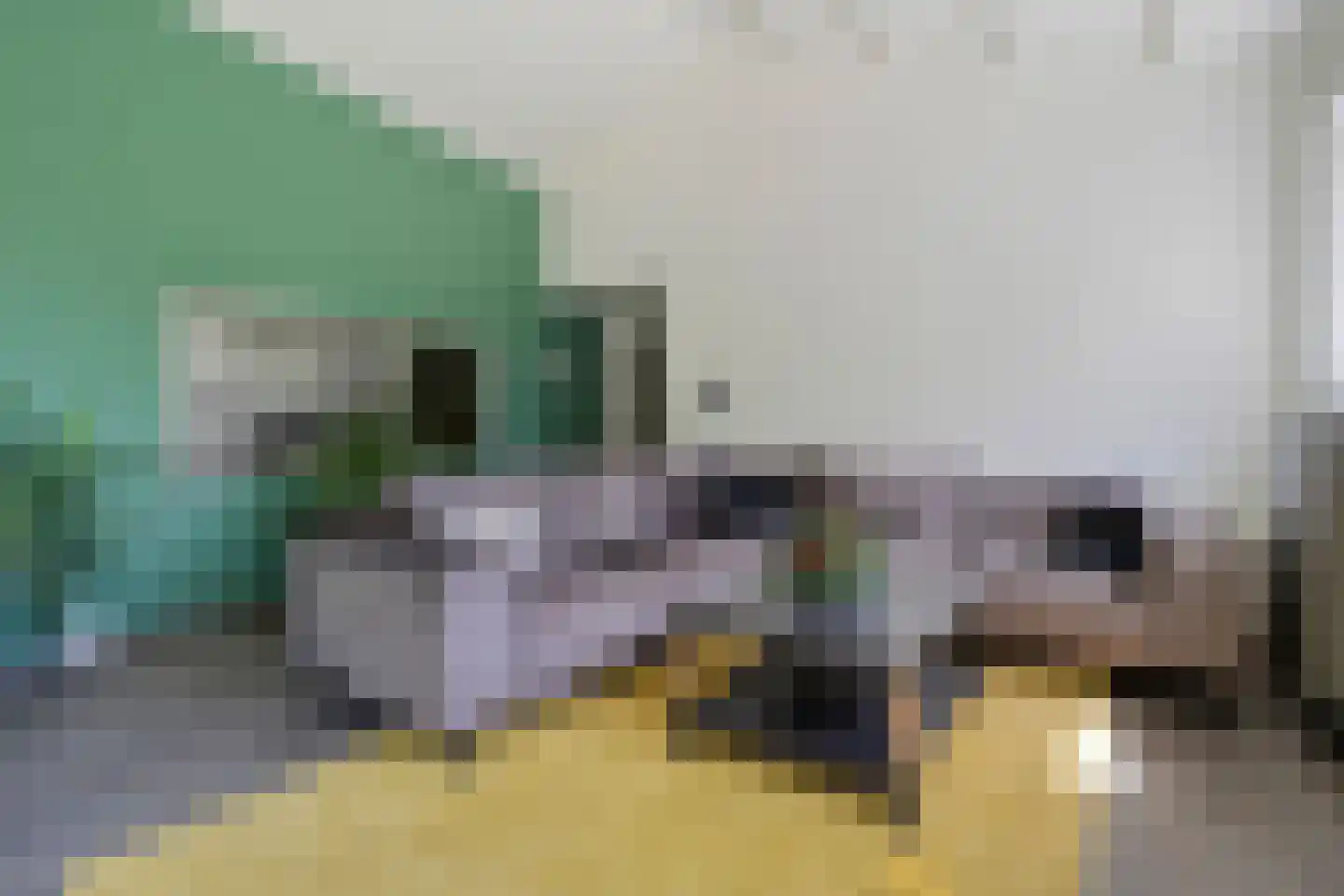 Garst 57 Winschoten thumbnail 36