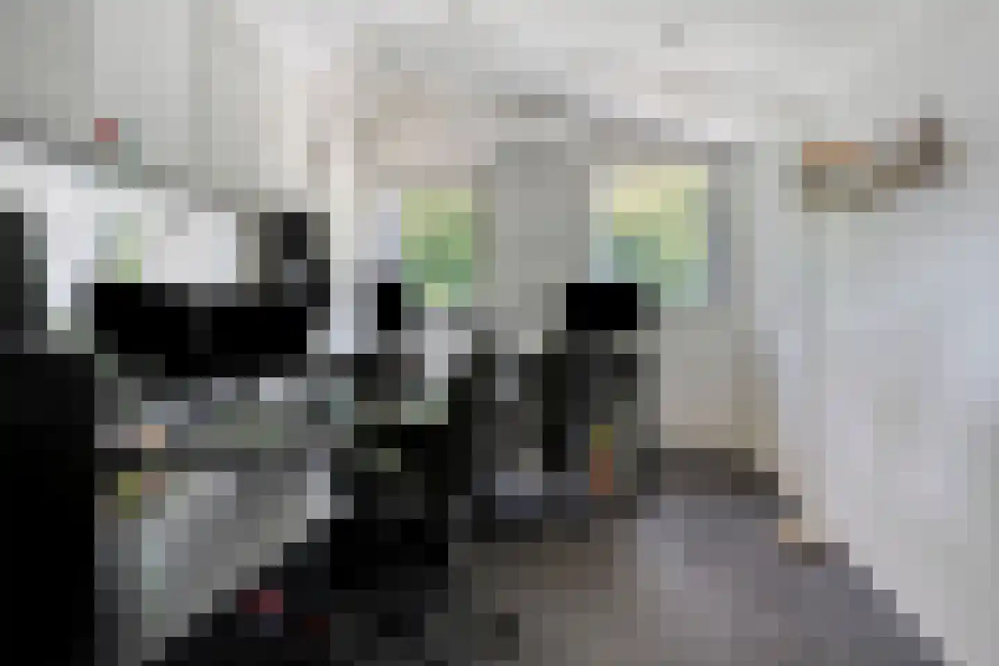 Garst 57 Winschoten thumbnail 38