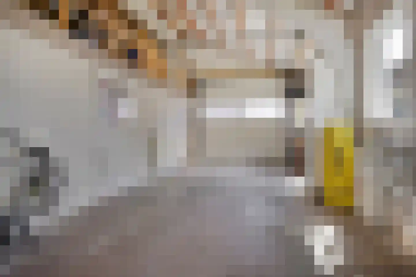 Garst 57 Winschoten thumbnail 43