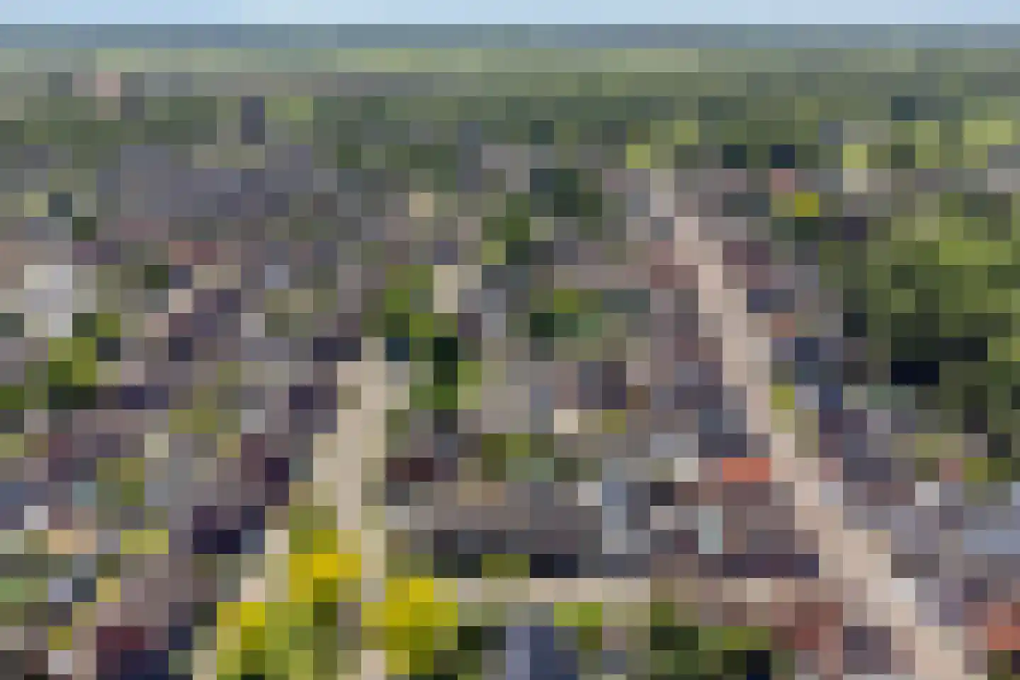 Garst 57 Winschoten thumbnail 62