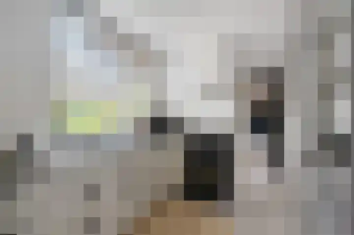 Garst 79 Winschoten thumbnail 18