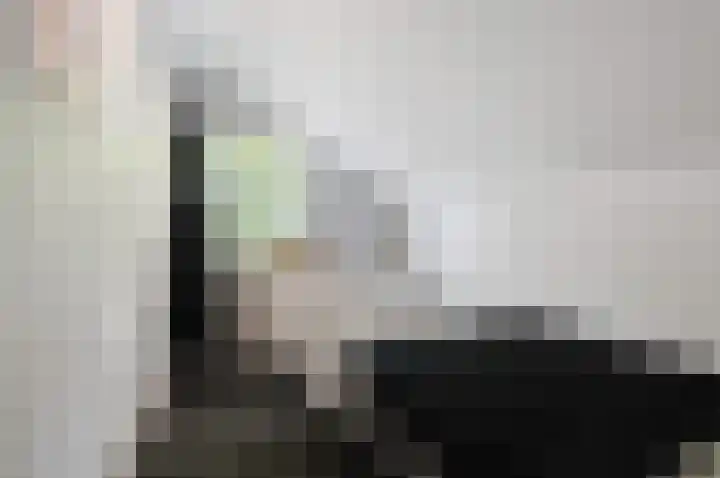 Garst 79 Winschoten thumbnail 22