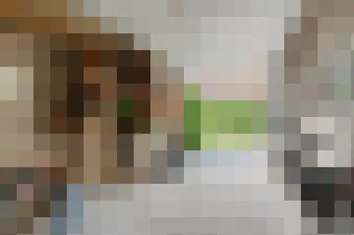 Garst 79 Winschoten thumbnail 30