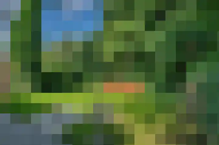 Garst 79 Winschoten thumbnail 41
