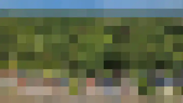 Garst 79 Winschoten thumbnail 43