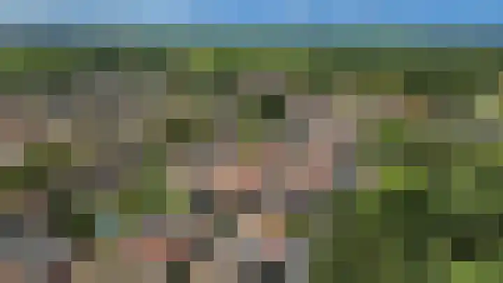 Garst 79 Winschoten thumbnail 45