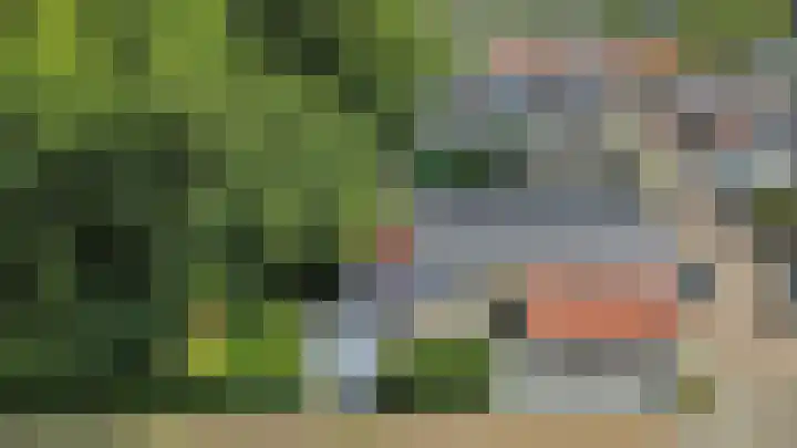 Garst 79 Winschoten thumbnail 46