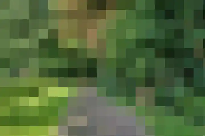Garst 79 Winschoten thumbnail 47