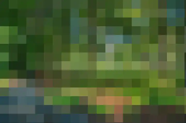 Garst 79 Winschoten thumbnail 48