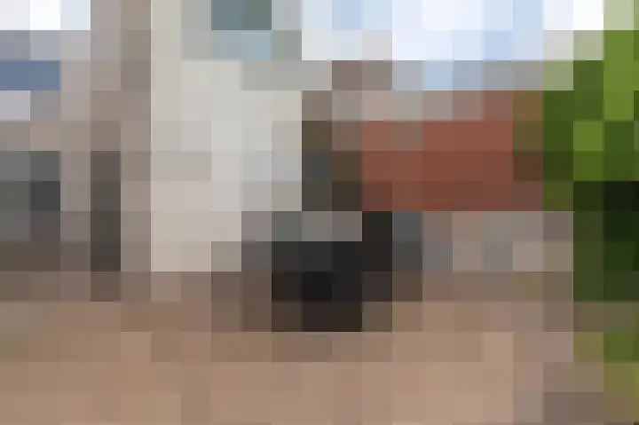 Garst 86 Winschoten thumbnail 26
