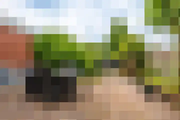 Garst 86 Winschoten thumbnail 27