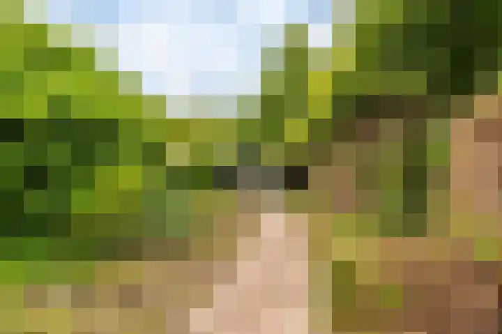 Garst 86 Winschoten thumbnail 28