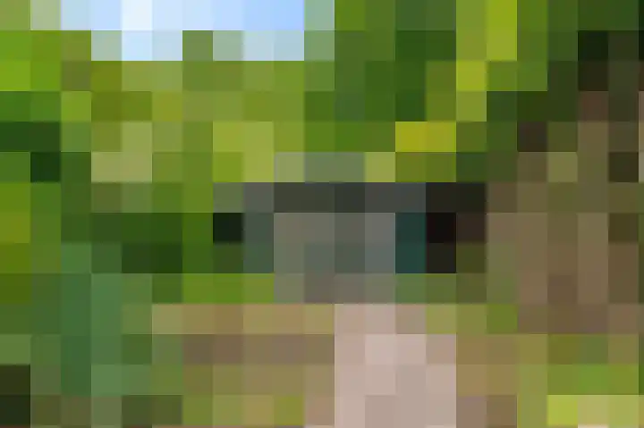 Garst 86 Winschoten thumbnail 29
