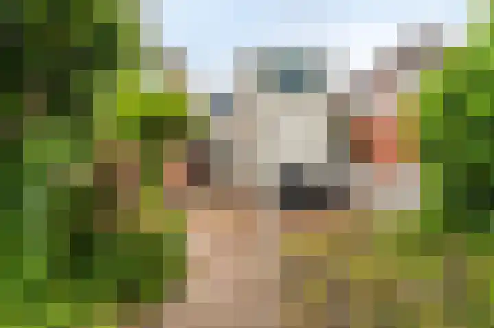 Garst 86 Winschoten thumbnail 30