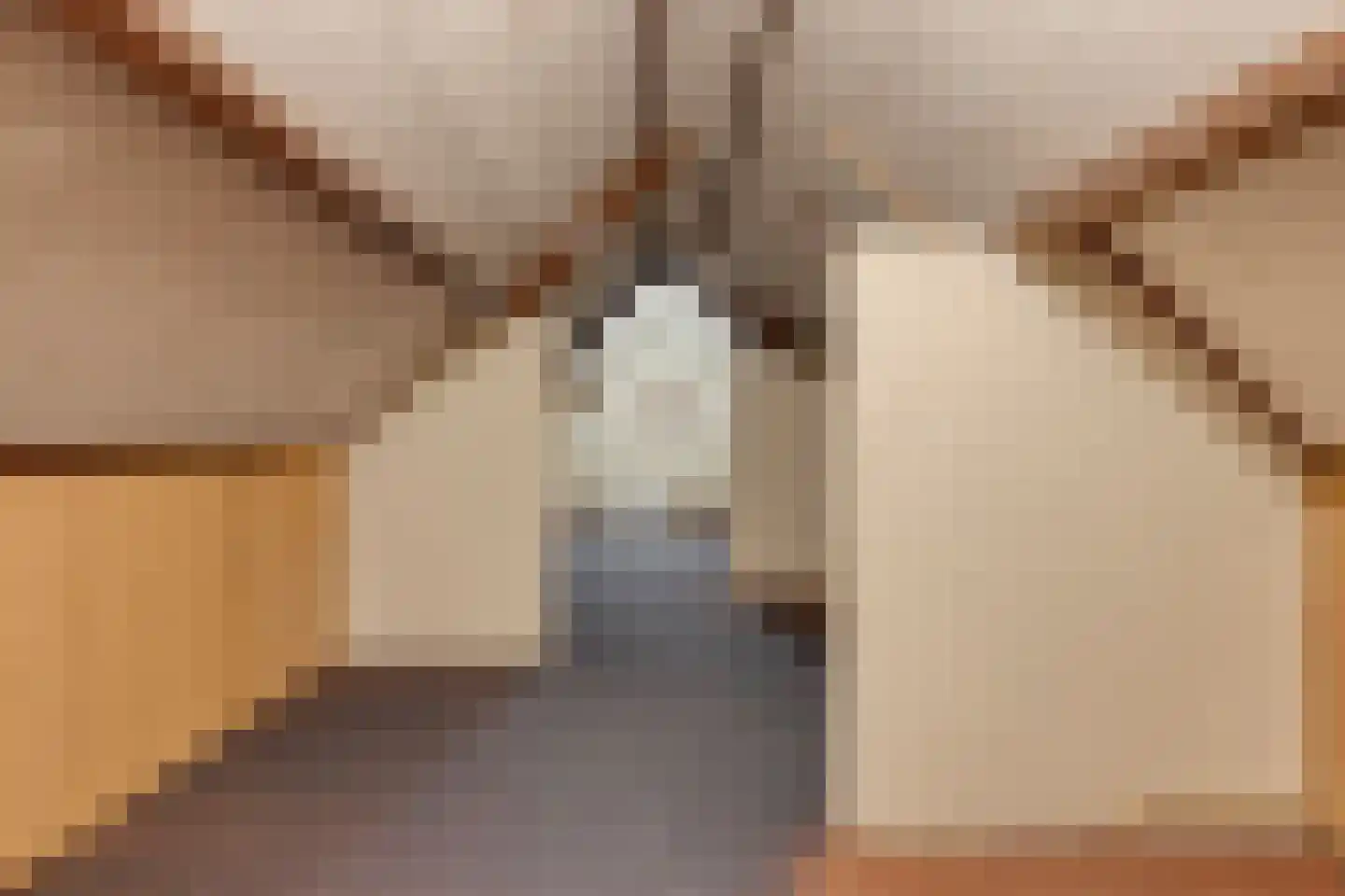 Garstbocht 14 Hooge Mierde thumbnail 33