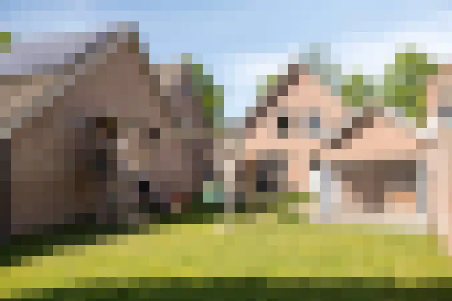 Garstbocht 14 Hooge Mierde thumbnail 37