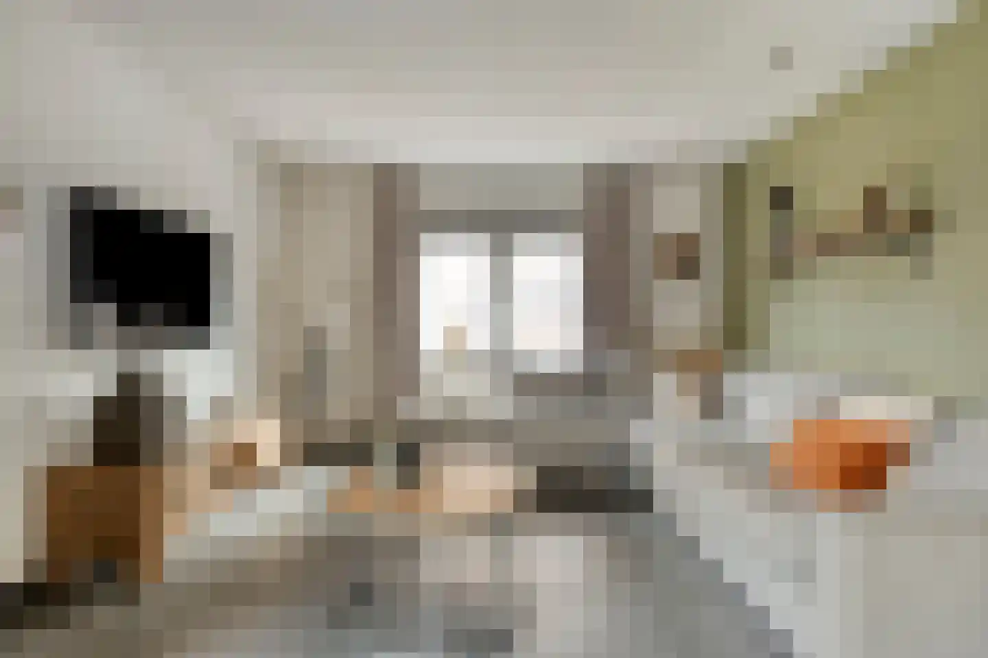 Garstbocht 14 Hooge Mierde thumbnail 4