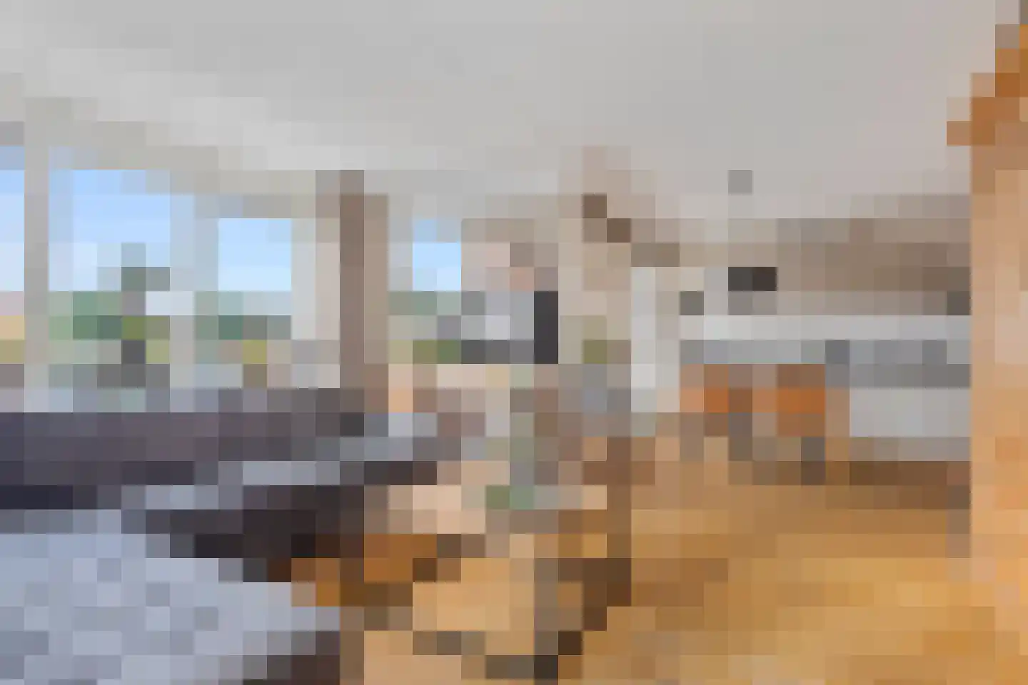 Garsteland 17 Ermelo thumbnail 18