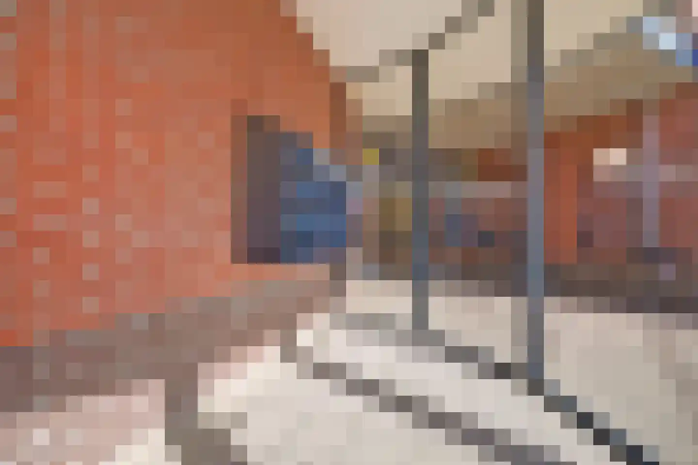 Garsteland 18 Ermelo thumbnail 28