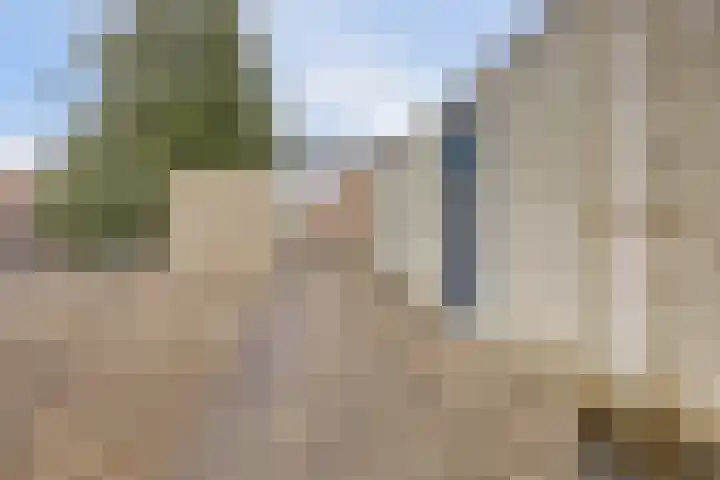 Garsteland 32 Ermelo thumbnail 9