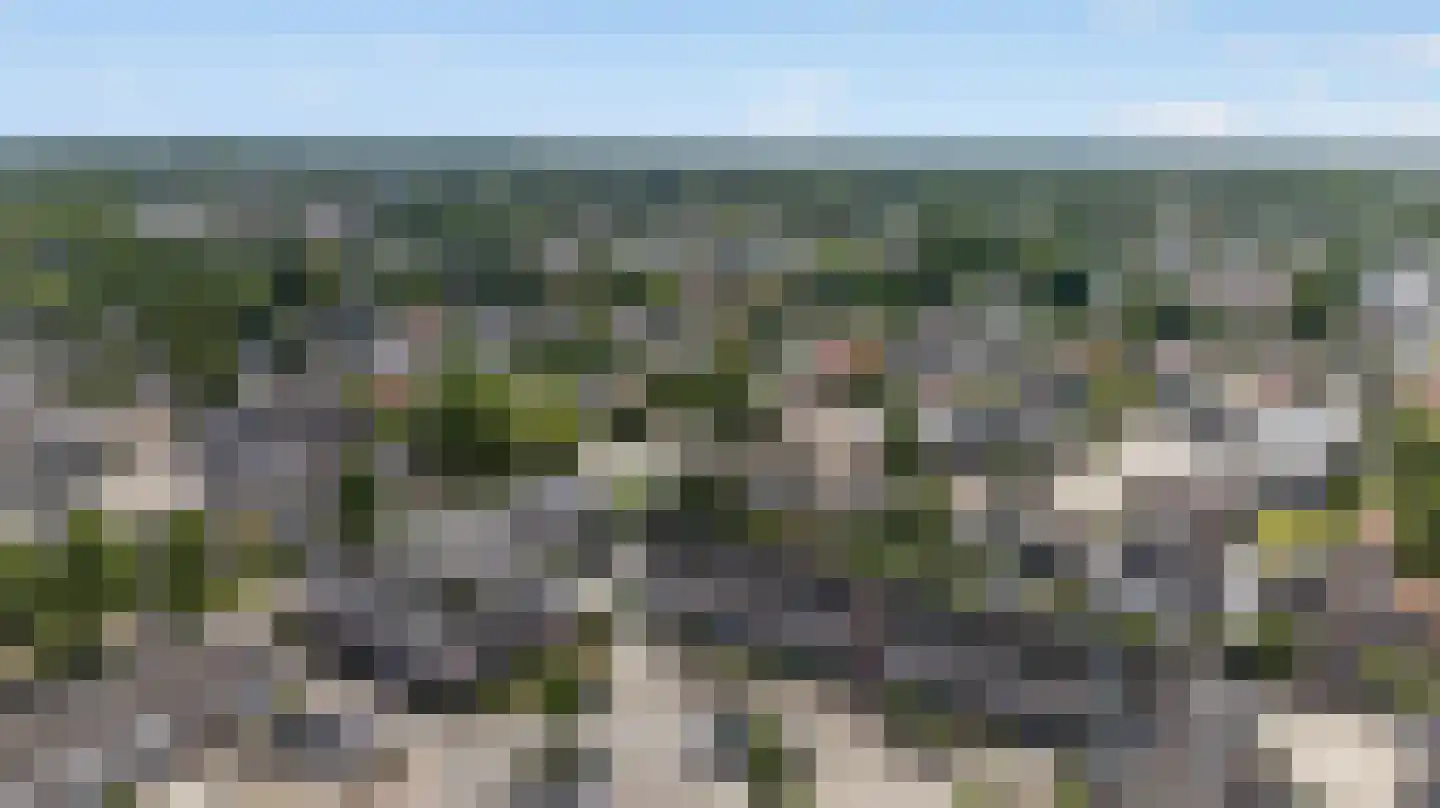 Garsteland 37 Ermelo thumbnail 51