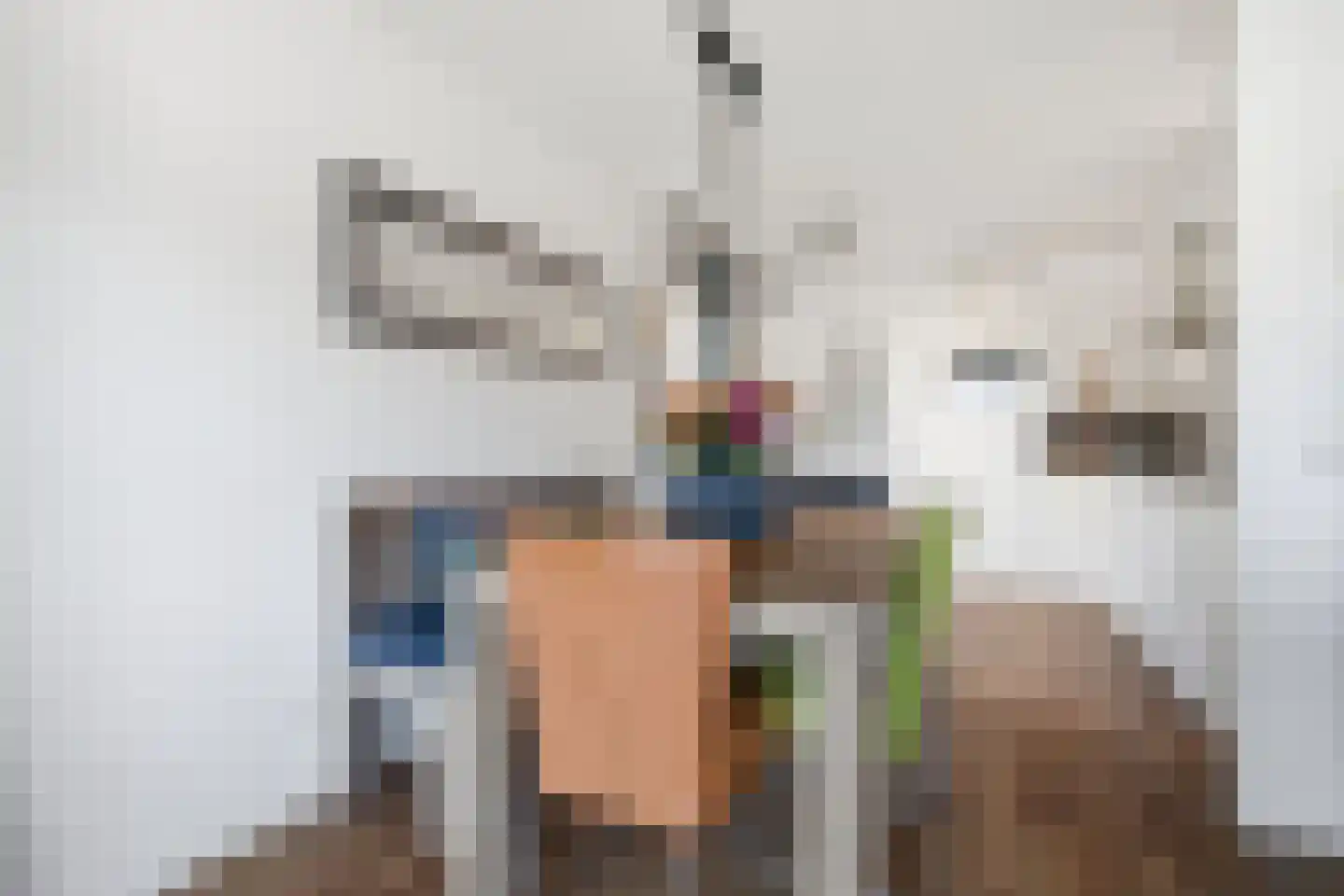 Garsteland 6 Ermelo thumbnail 16