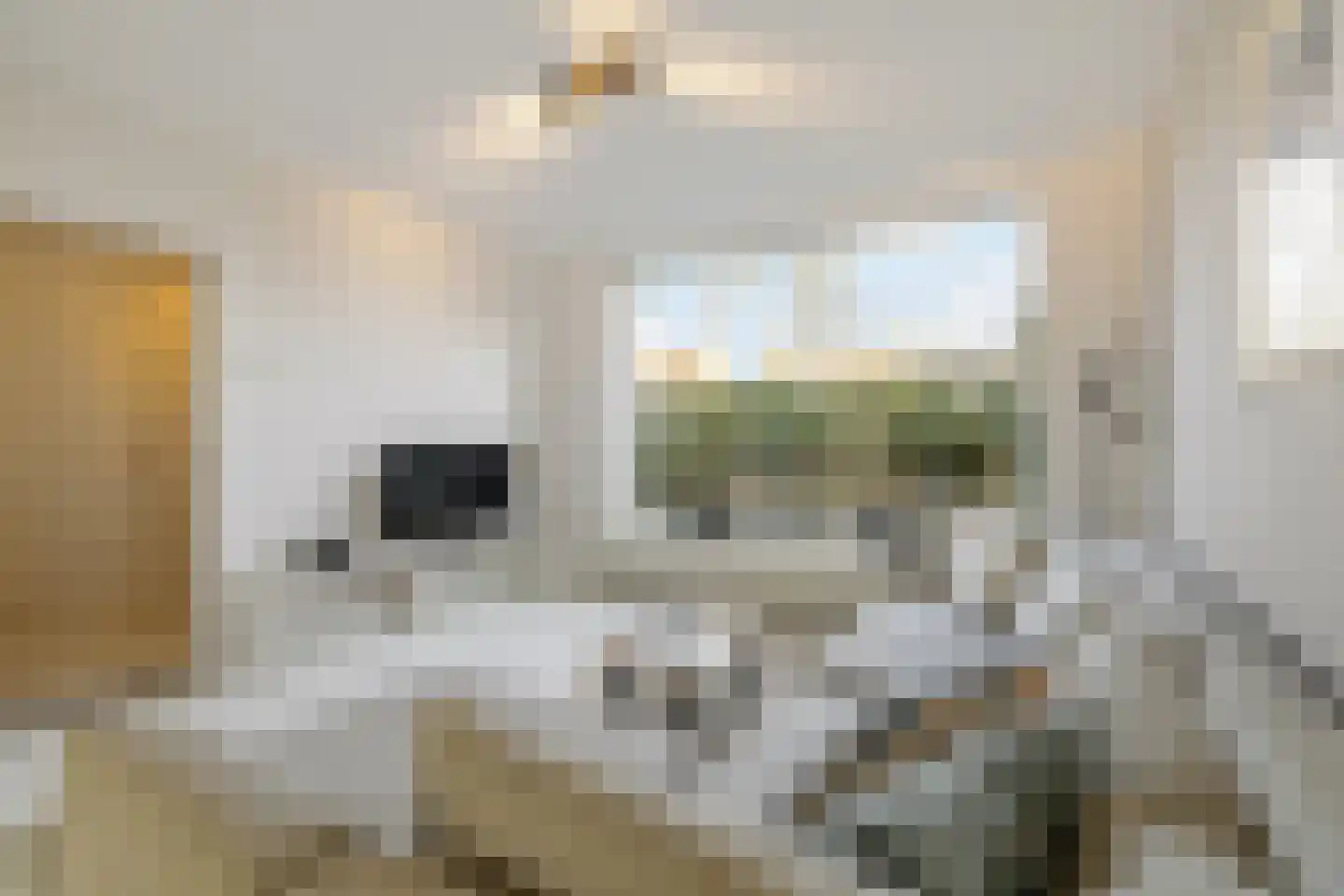 Garstenstraat 31 Nigtevecht thumbnail 12