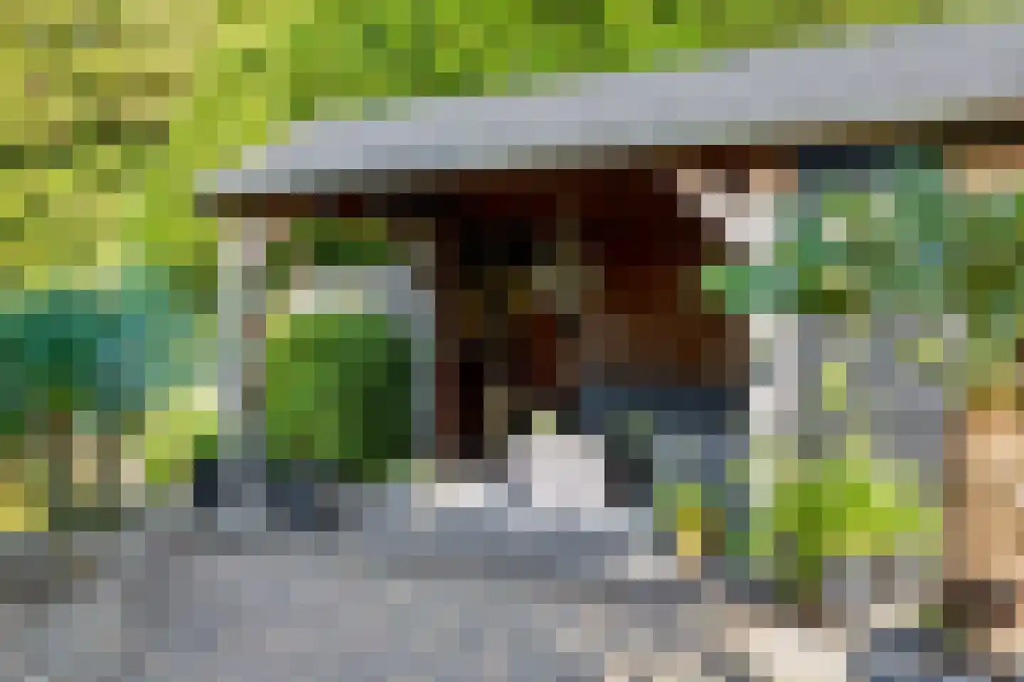 Garstenveld 24 Groenlo thumbnail 47