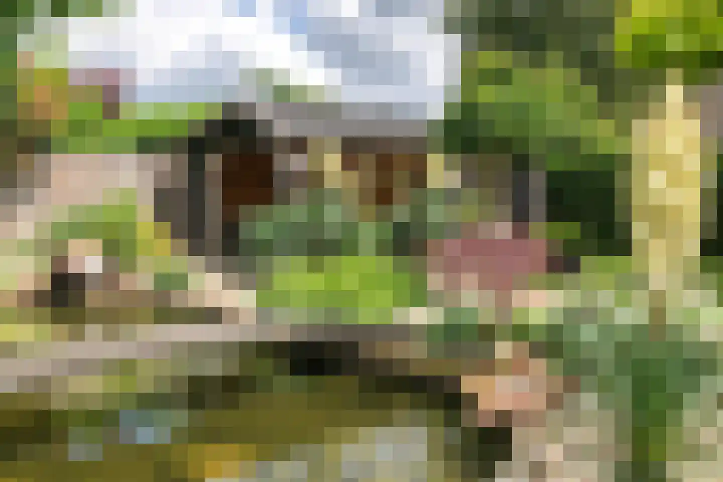 Garstenveld 24 Groenlo thumbnail 50