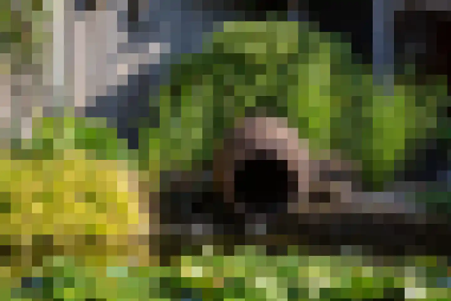 Garstenveld 24 Groenlo thumbnail 51