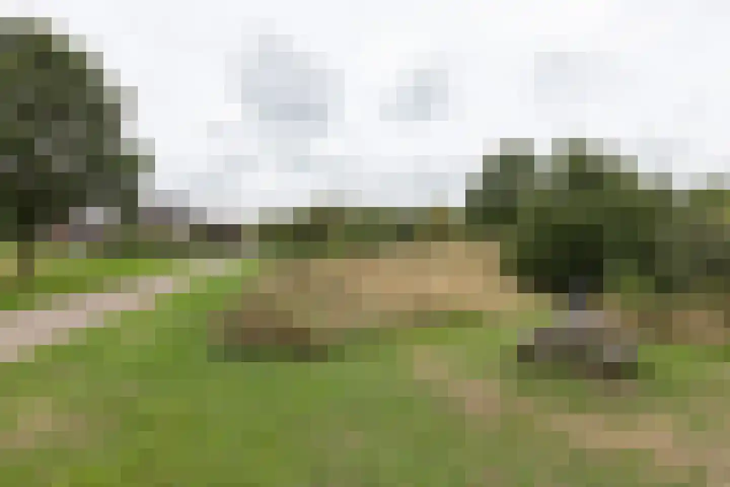 Garstenveld 41 Groenlo thumbnail 34