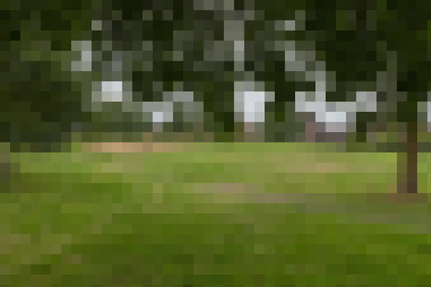 Garstenveld 41 Groenlo thumbnail 35