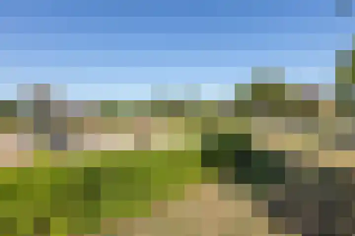 Garstenveld 69 Groenlo thumbnail 35