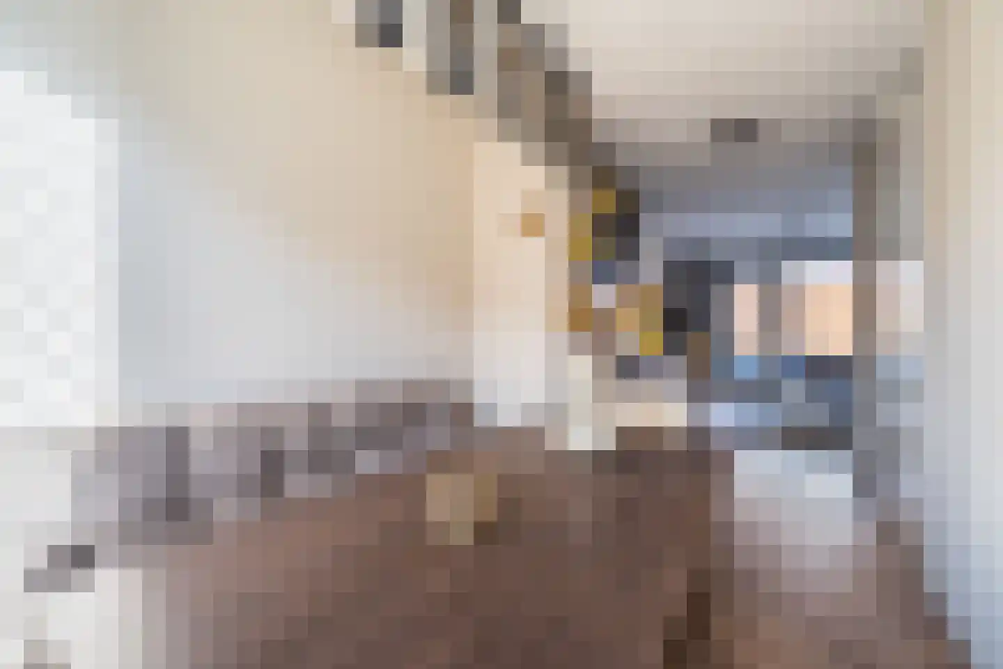 Garstkampsestraat 3 C Overasselt thumbnail 10