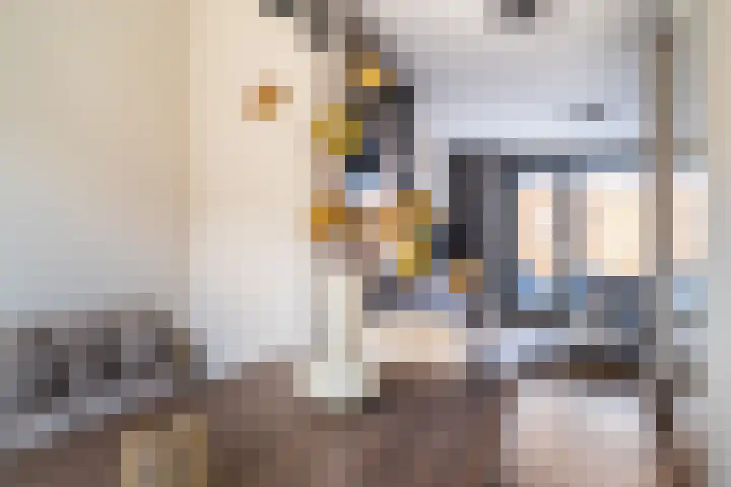 Garstkampsestraat 3 C Overasselt thumbnail 11