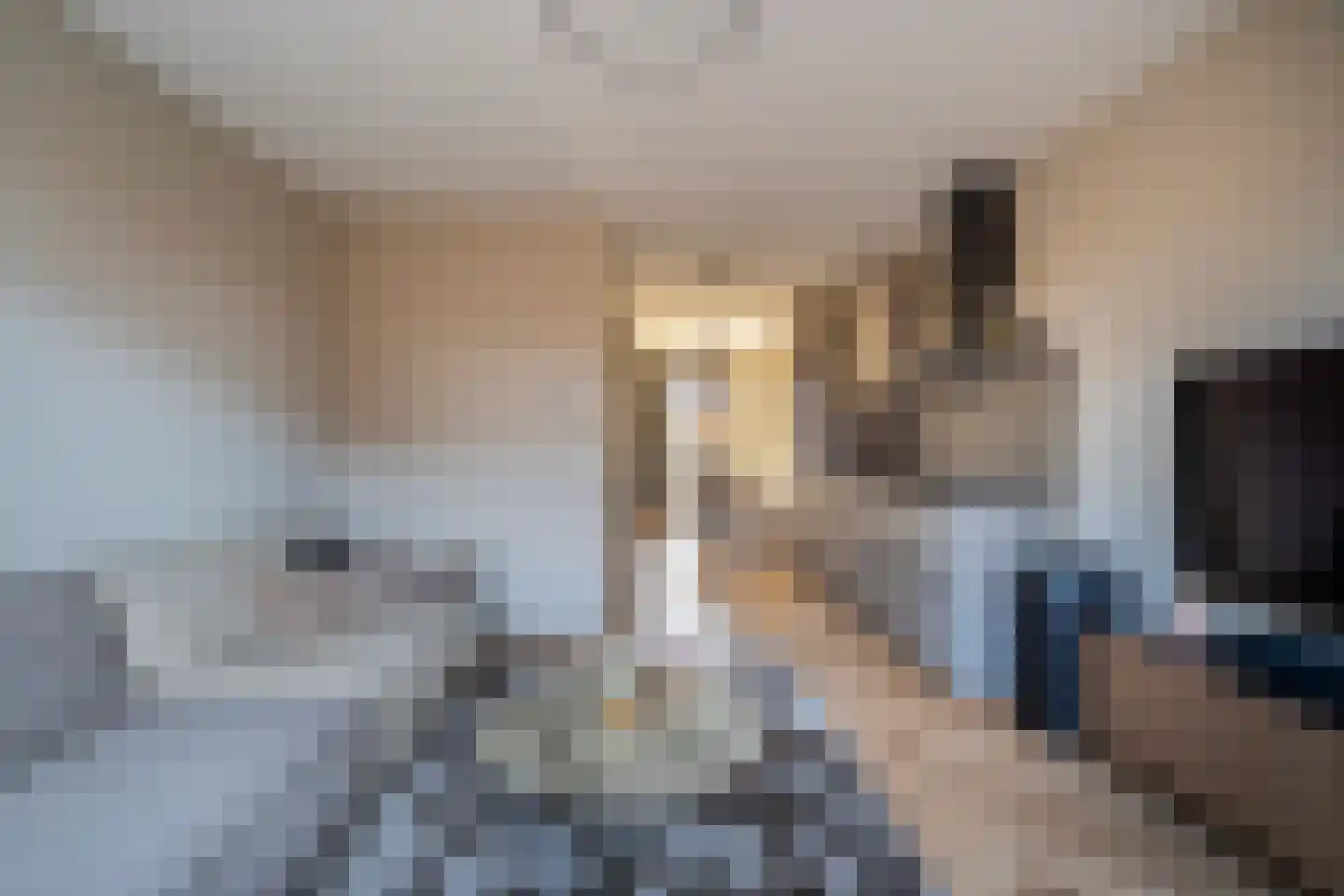 Garstkampsestraat 3 C Overasselt thumbnail 18