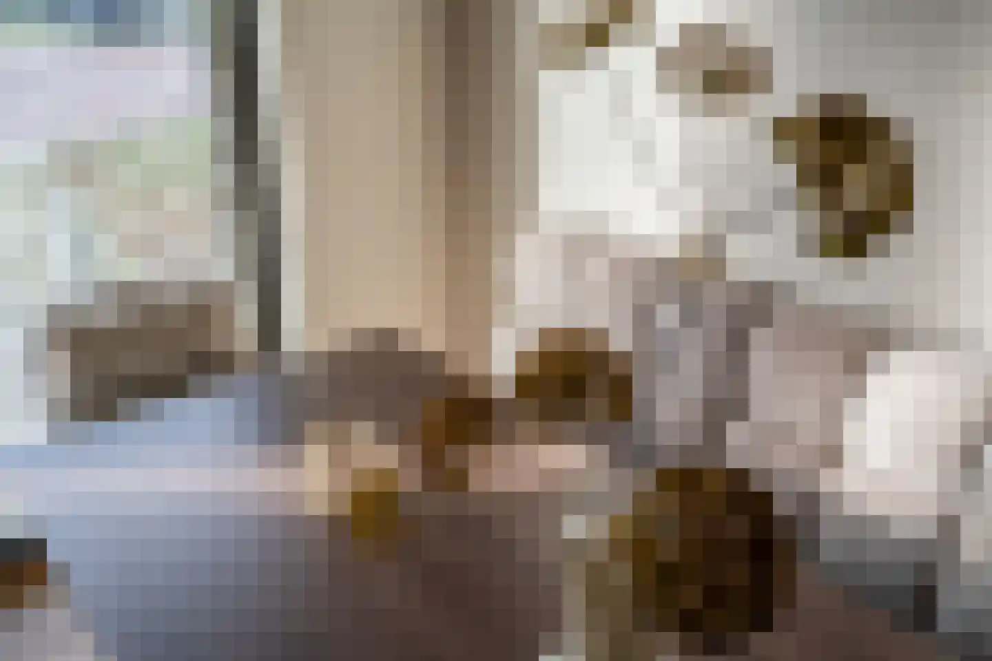 Garstkampsestraat 3 C Overasselt thumbnail 23