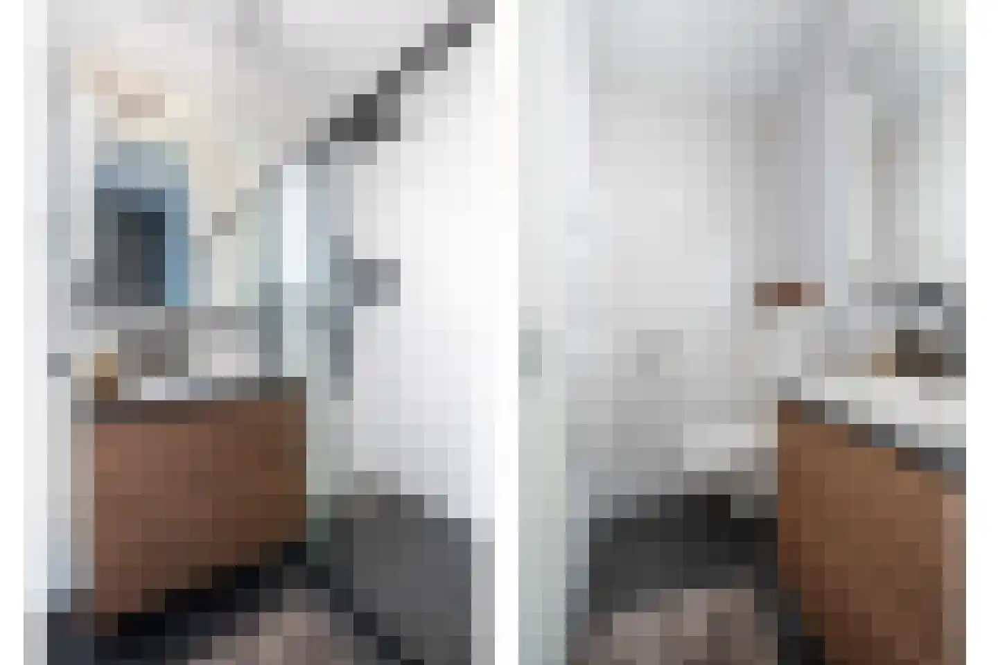 Garstkampsestraat 3 C Overasselt thumbnail 34