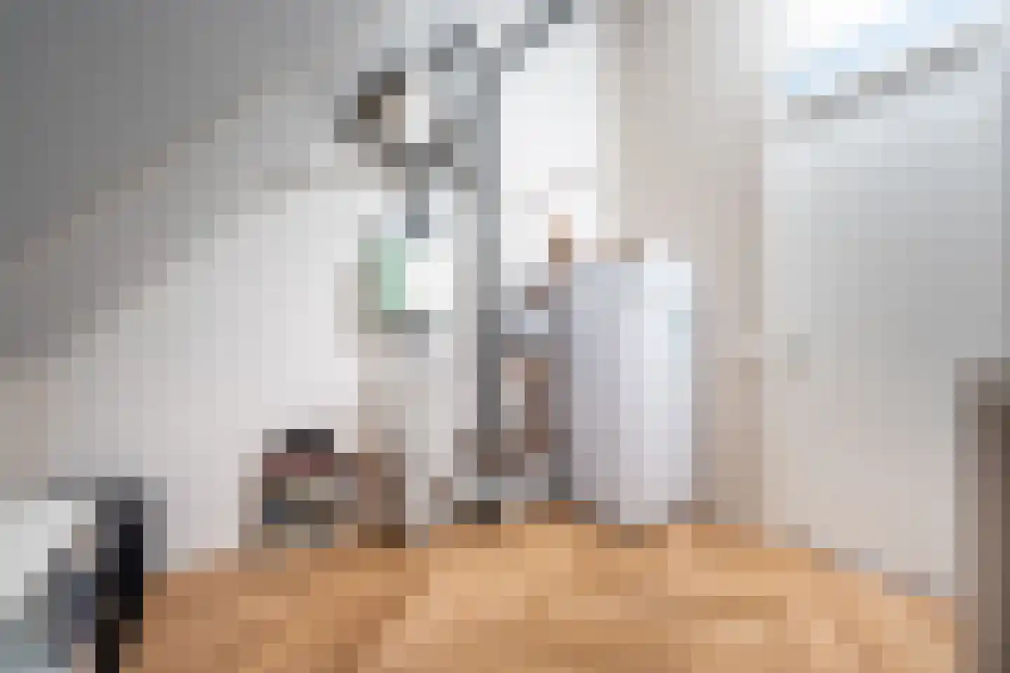 Garstkampsestraat 3 C Overasselt thumbnail 36