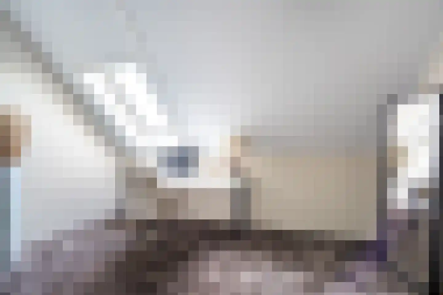 Garstkampsestraat 3 C Overasselt thumbnail 37