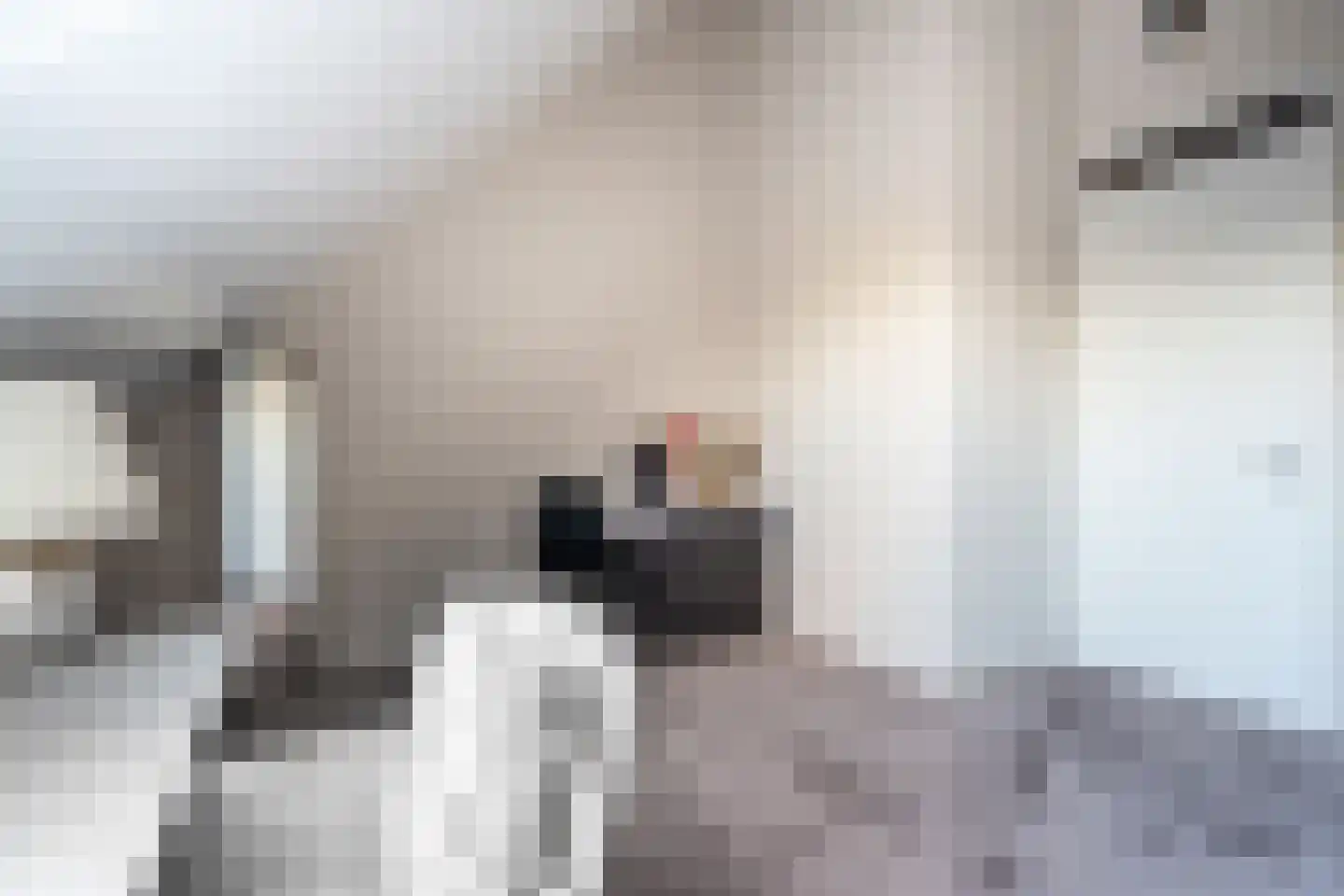 Garstkampsestraat 3 C Overasselt thumbnail 38