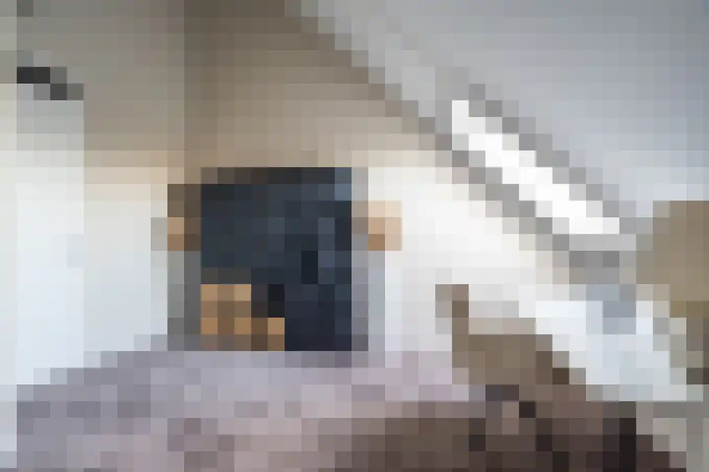 Garstkampsestraat 3 C Overasselt thumbnail 40
