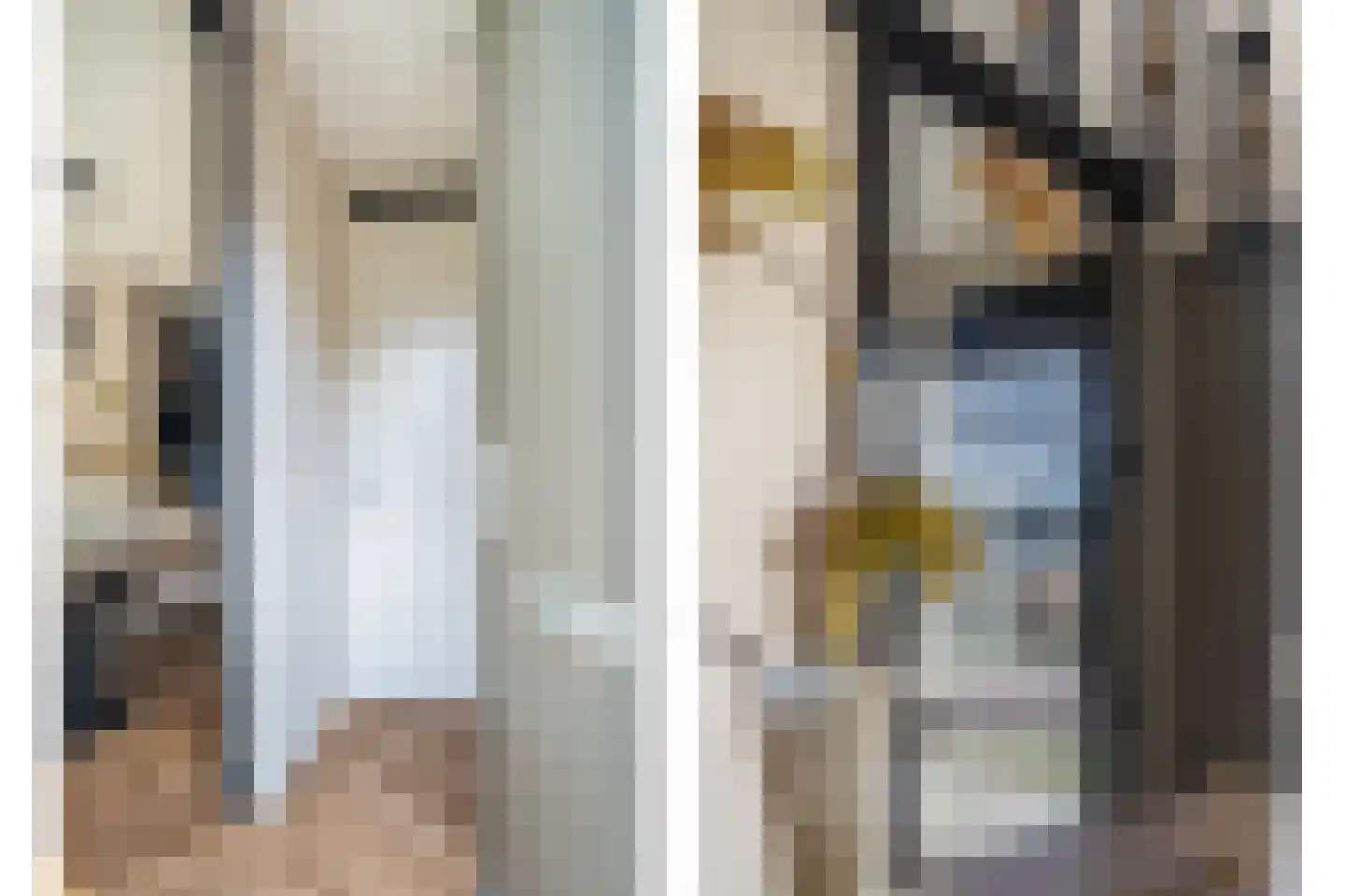 Garstkampsestraat 3 C Overasselt thumbnail 5