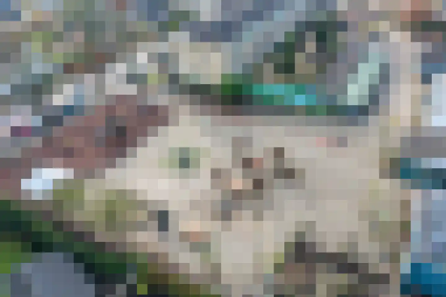 Garstkampsestraat 3 C Overasselt thumbnail 57
