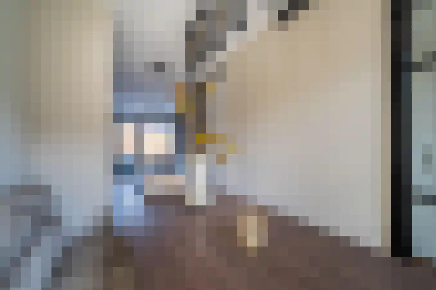 Garstkampsestraat 3 C Overasselt thumbnail 7