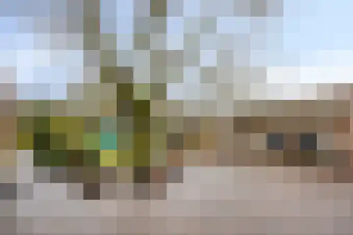 Garstlandweg 4 Rosmalen thumbnail 30