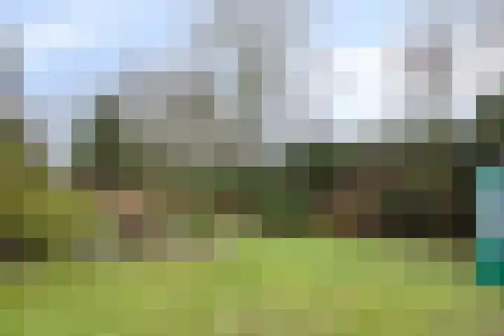Garstlandweg 4 Rosmalen thumbnail 32