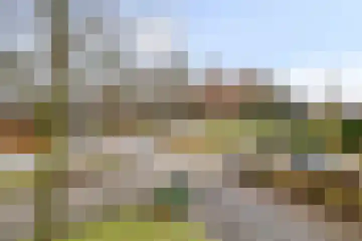 Garstlandweg 4 Rosmalen thumbnail 36